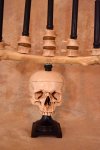 Candelabra, Table Top Model Holds Five Real Candles and Skull