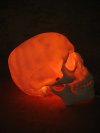 Lighted Two Piece Skull Display, Life-Size Skull