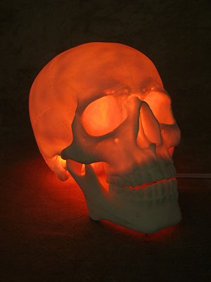 Lighted Two Piece Skull Display, Life-Size Skull