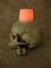 Lighted Skull Display, w/ Bone & Wax Candle