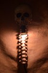 Skull/Spine Wall Sconce