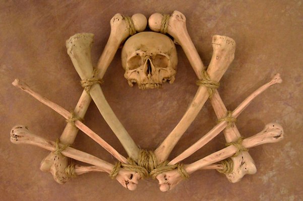 Skull/Bone Sconce