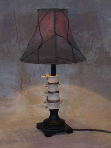 LAMP300A.JPG